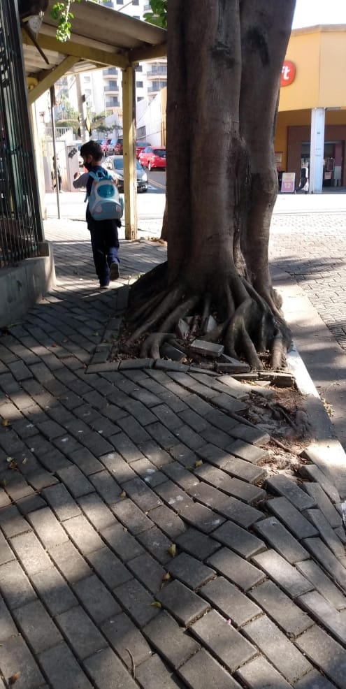 WhatsApp Image 2022-12-16 at 11.18.13