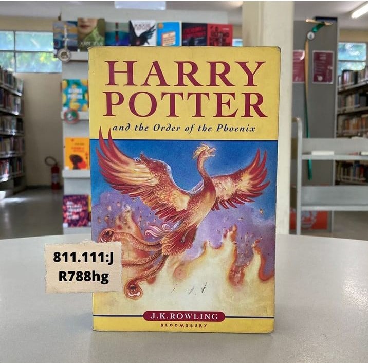 Acervo língua estrangeira - BML (1)