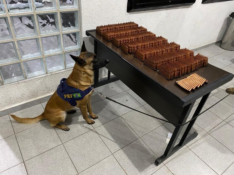 dd3b161f-ee73-4f48-b0a7-6e2b8bd70ac0