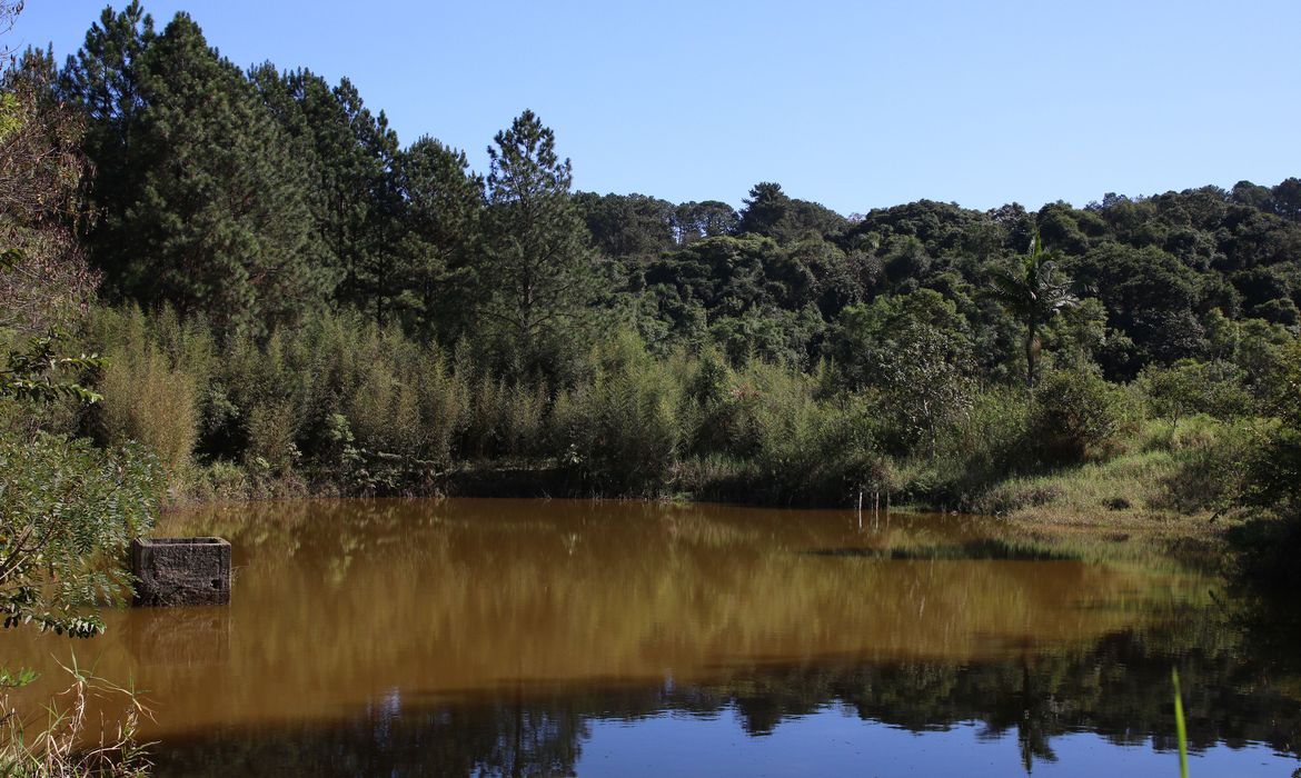 Parque Natural Municipal Varginha