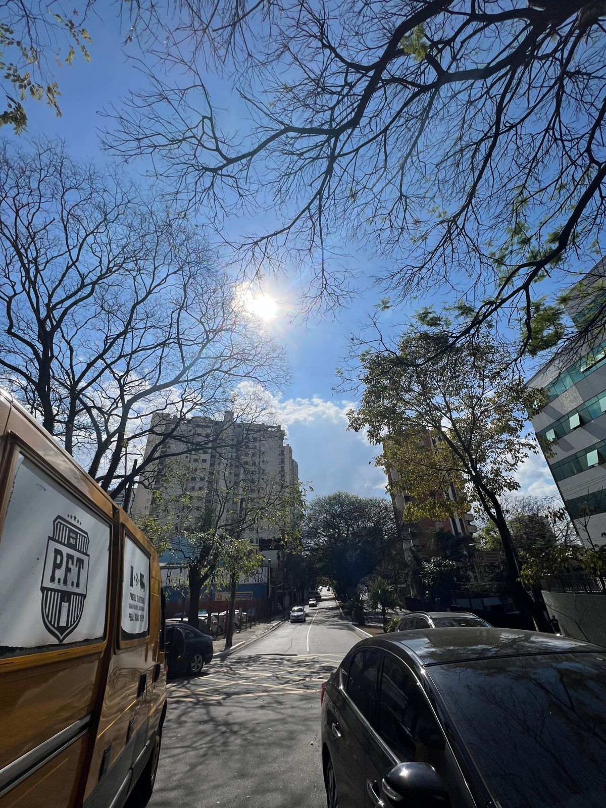 WhatsApp Image 2023-08-07 at 09.58.12