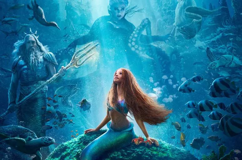 WhatsApp Image 2023-09-03 at 02.03.36