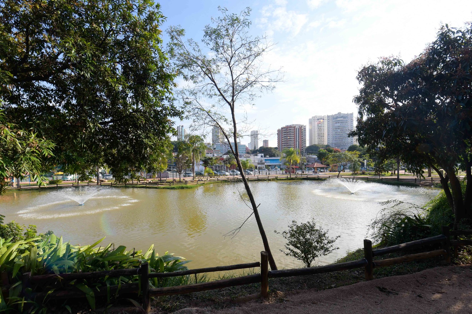 Bosque Maia_Foto_Fabio_Nunes_Teixeira