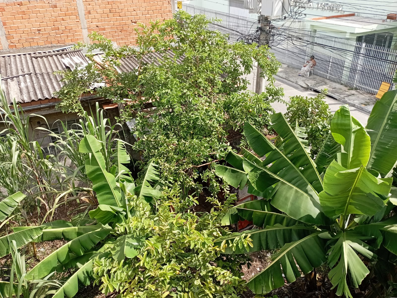 WhatsApp Image 2024-02-06 at 16.53.00 (2)