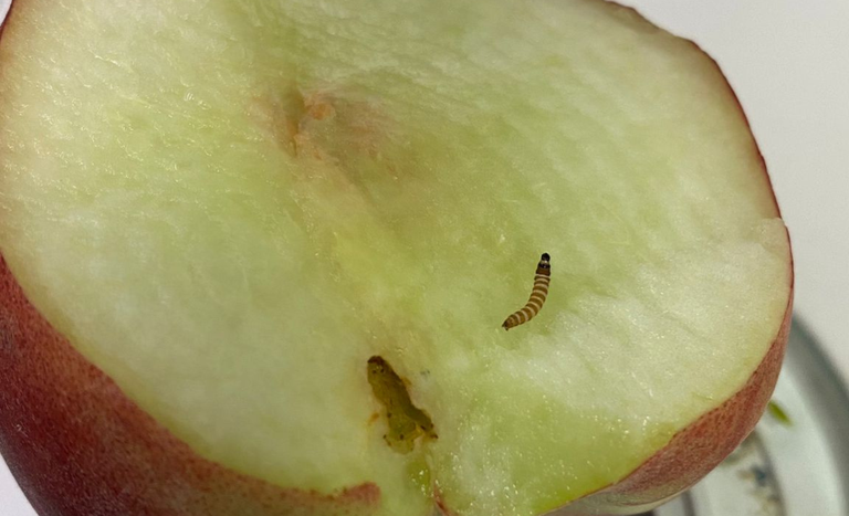 c40fe2c8-ec5c-4694-bbde-d8aac4d84731