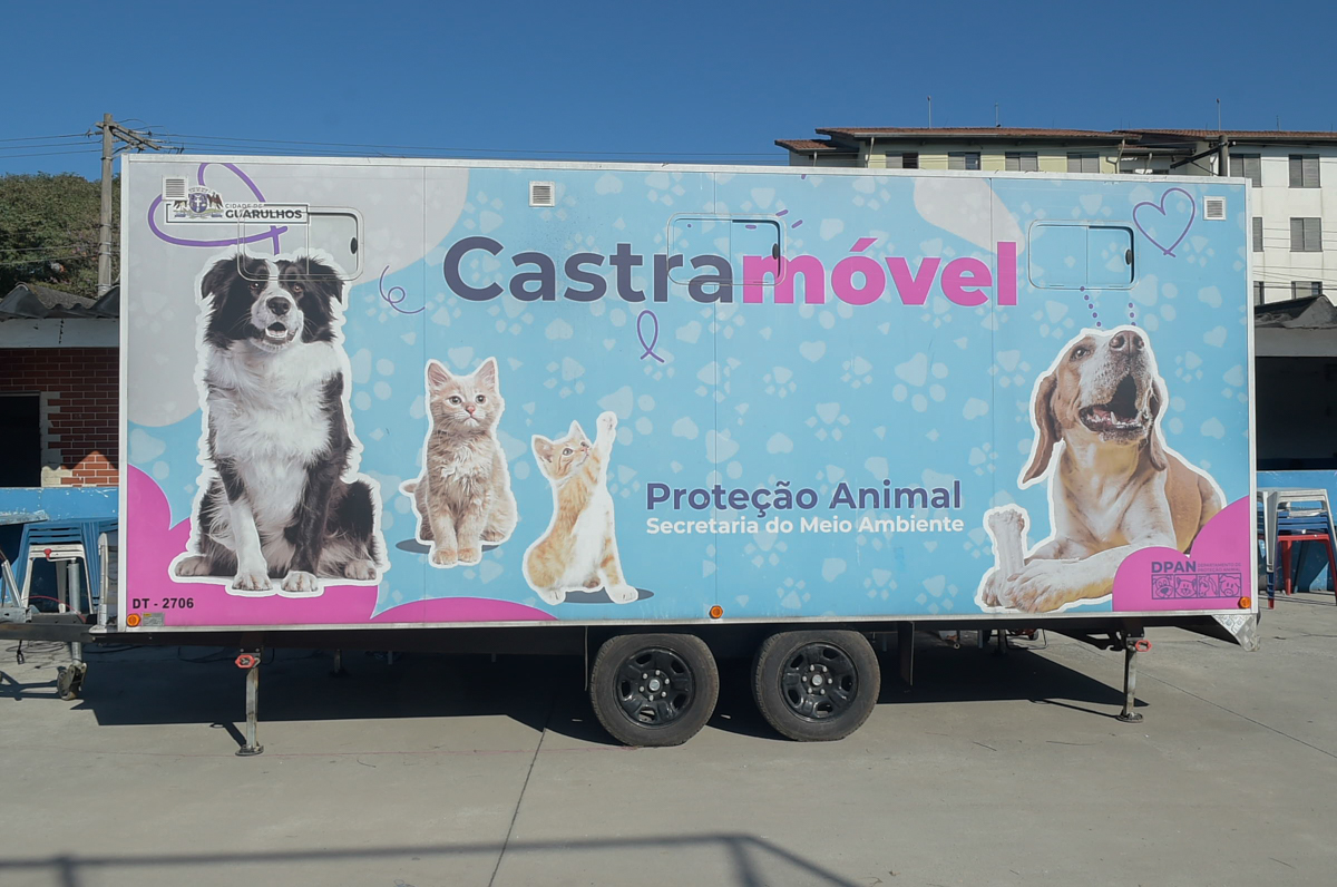 Castramóvel - Marcio Lino