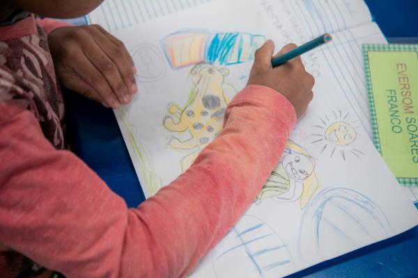 Onc?a pintada - Camila Rhodes (5)