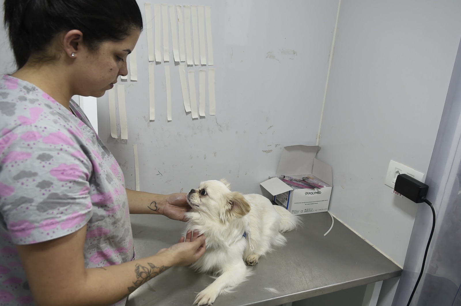 WhatsApp Image 2025-08-15 at 15.37.59 (1)