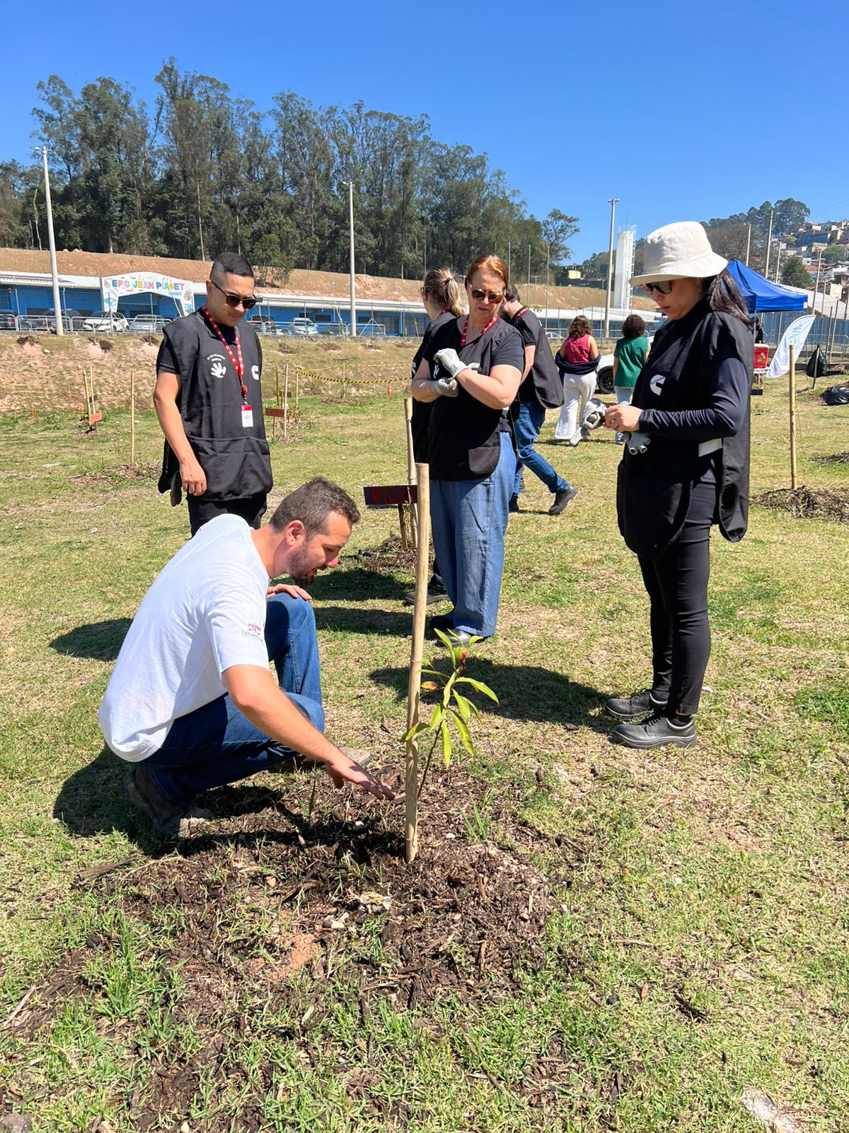 Plantio de árvores Jardm Acácio (2)