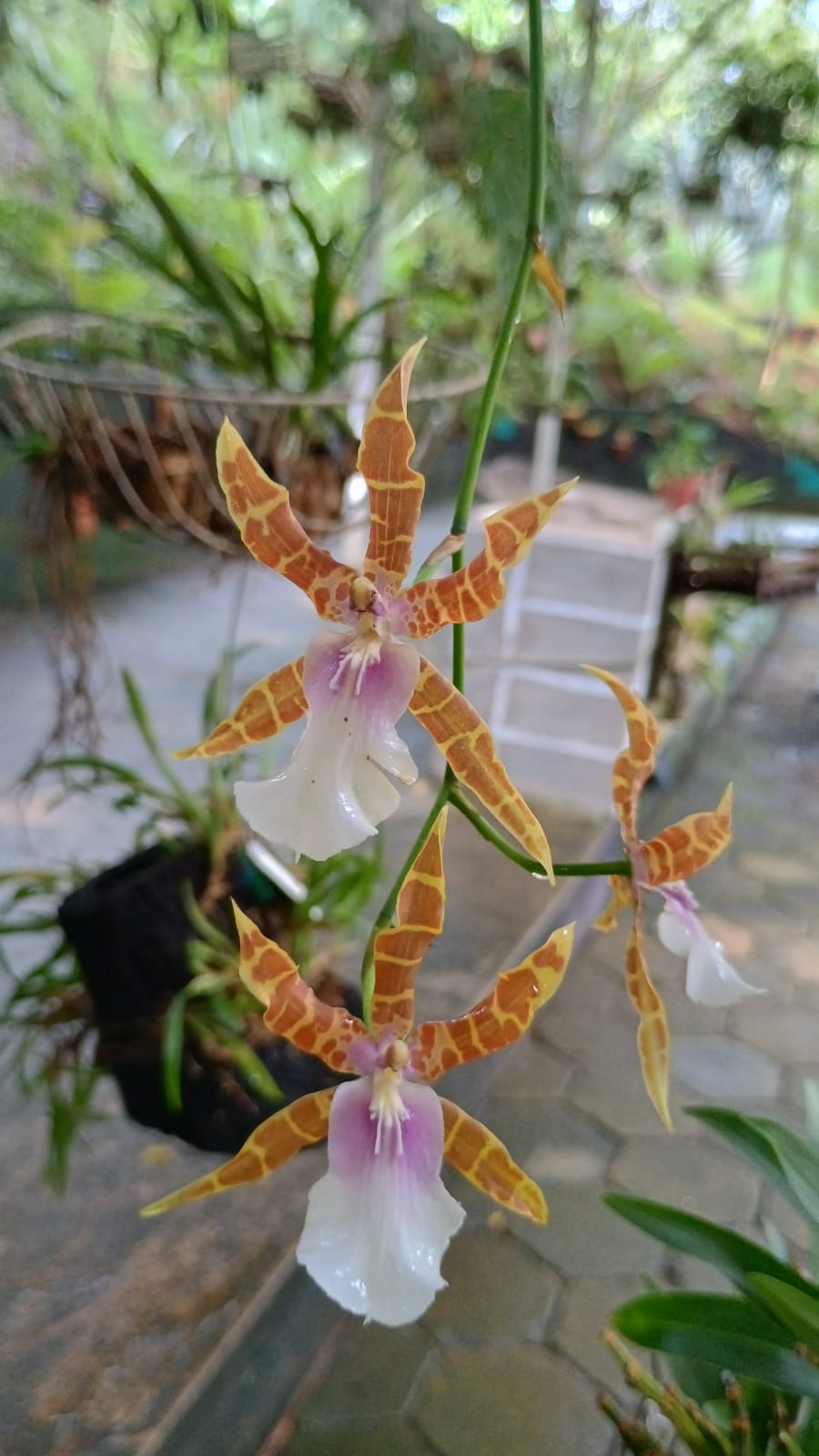 WhatsApp Image 2025-09-16 at 12.07.22