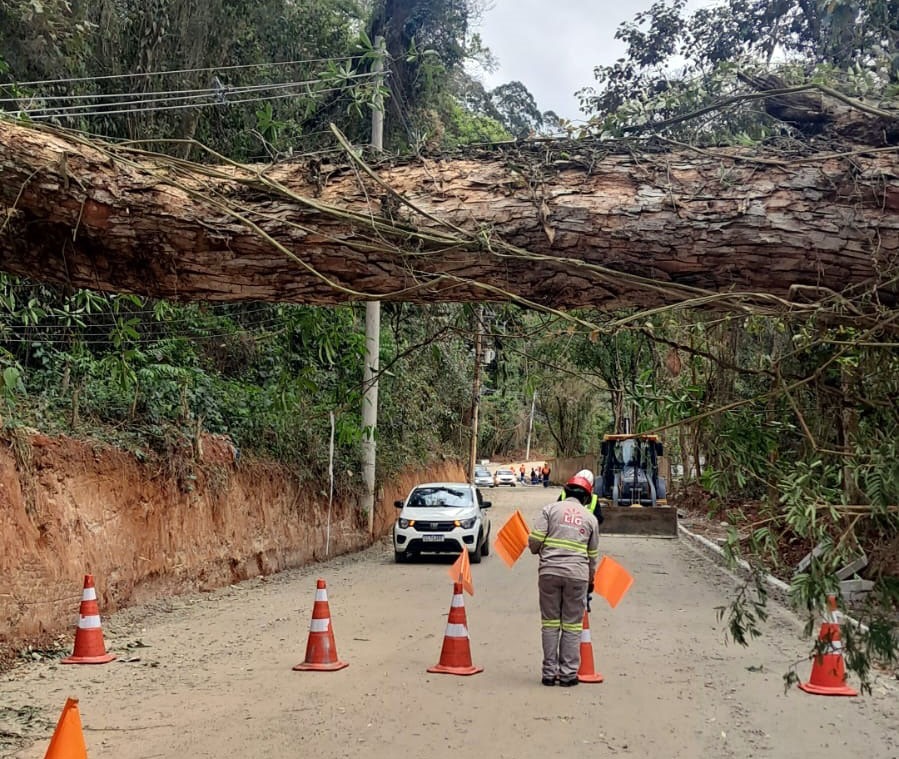 WhatsApp Image 2025-09-29 at 11.50.54