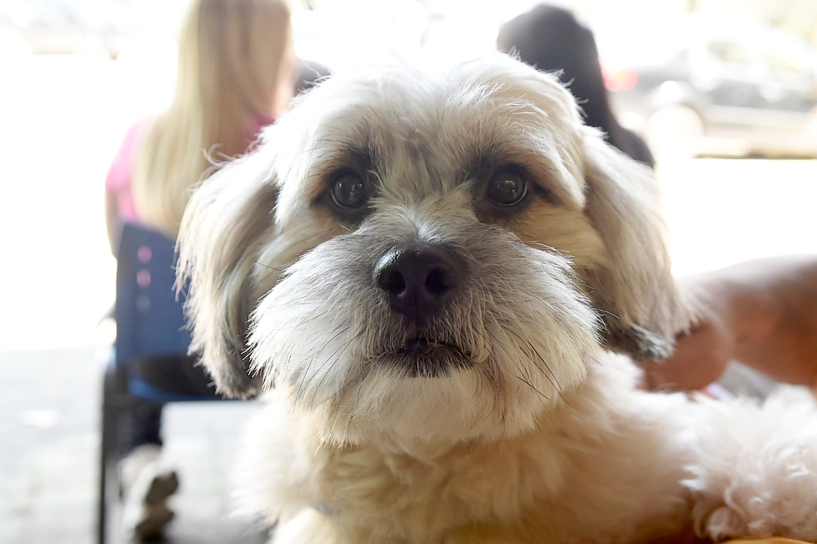 WhatsApp Image 2025-09-30 at 17.04.17