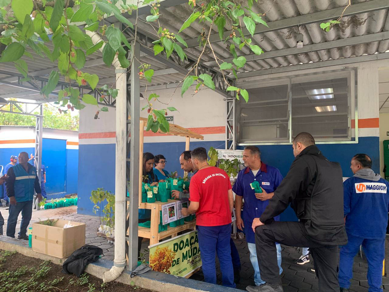 distribuicao de mudas1