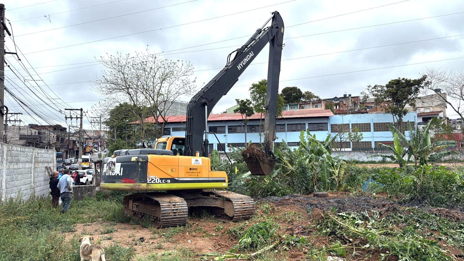 651e3553-24b8-4d65-9f8e-efe3216cc6b7