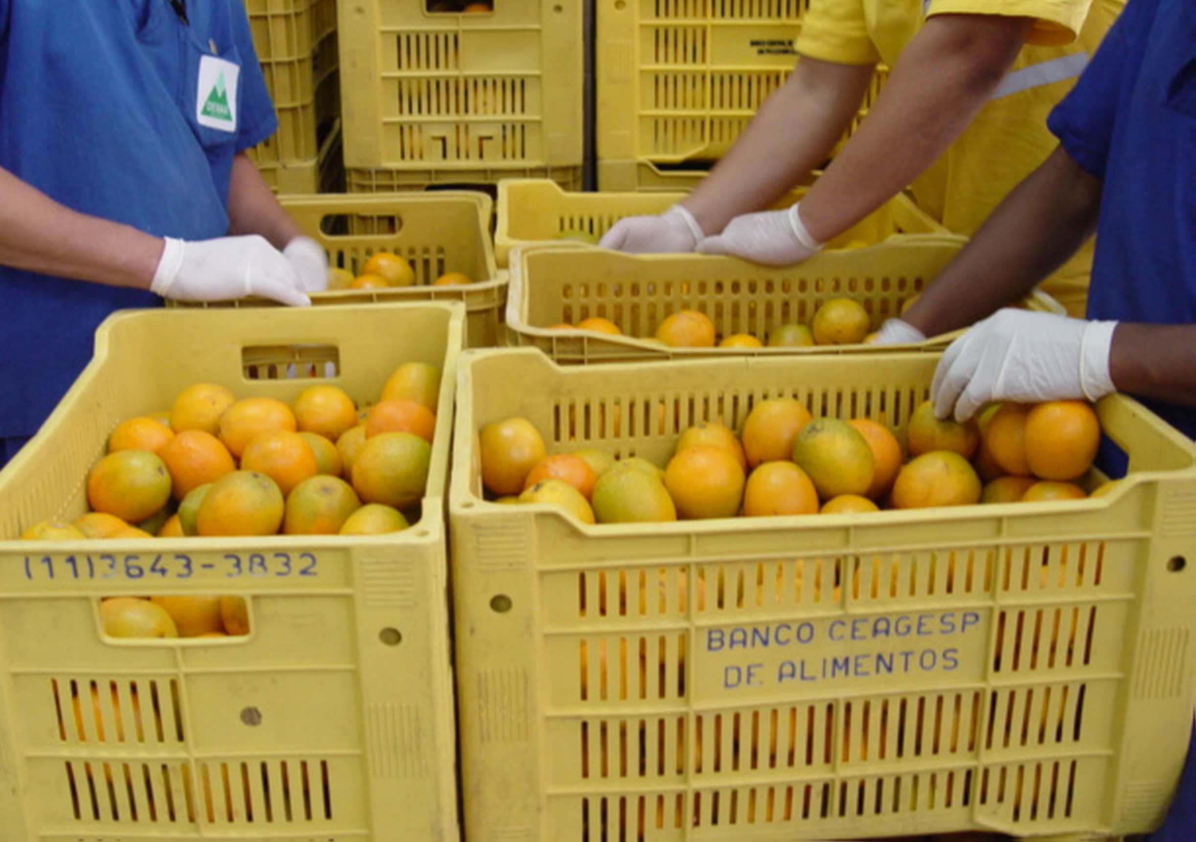 Banco de Alimentos 05.11.2008 (88)