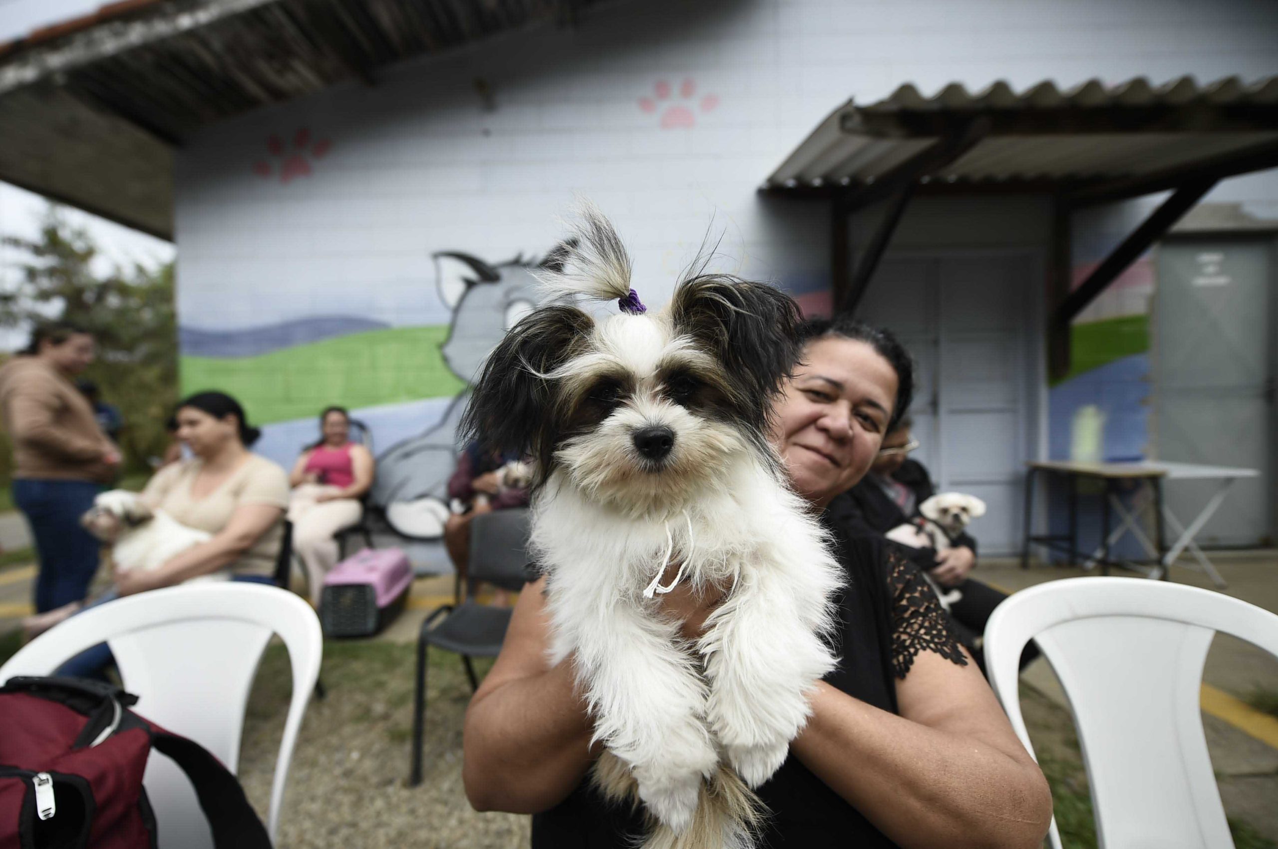 CastraPet - Jardim Pres. Dutra_Umaita Pires (31)