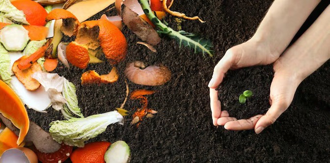 Imagem do WhatsApp de 2025-10-23 à(s) 17.24.59_b252dbec