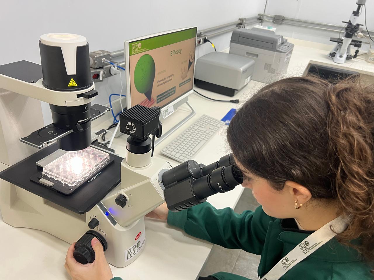 WhatsApp Image 2025-10-06 at 11.42.20