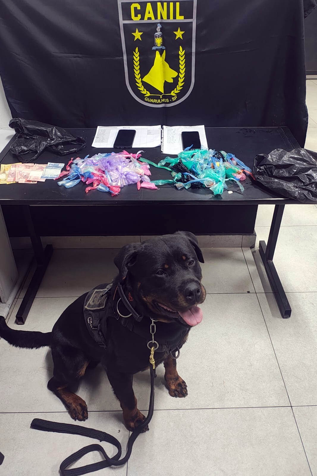 WhatsApp Image 2025-10-07 at 16.44.43