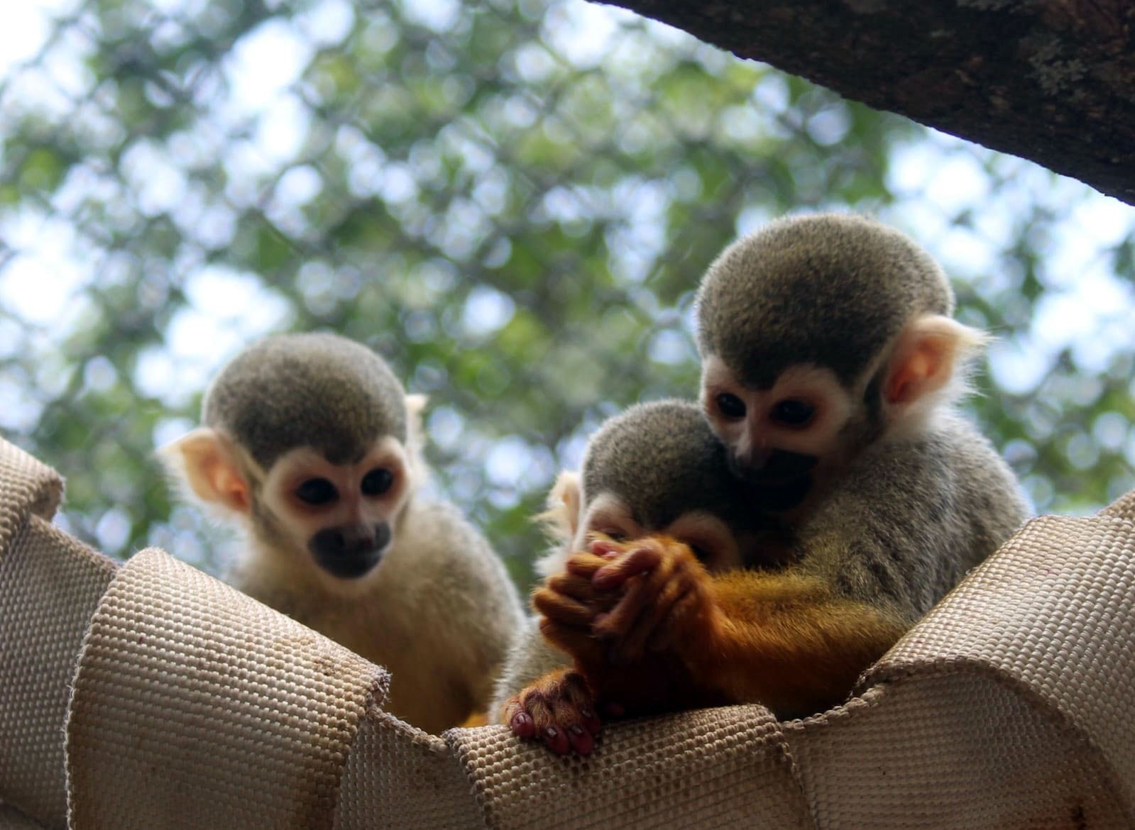 WhatsApp Image 2025-10-10 at 15.53.13