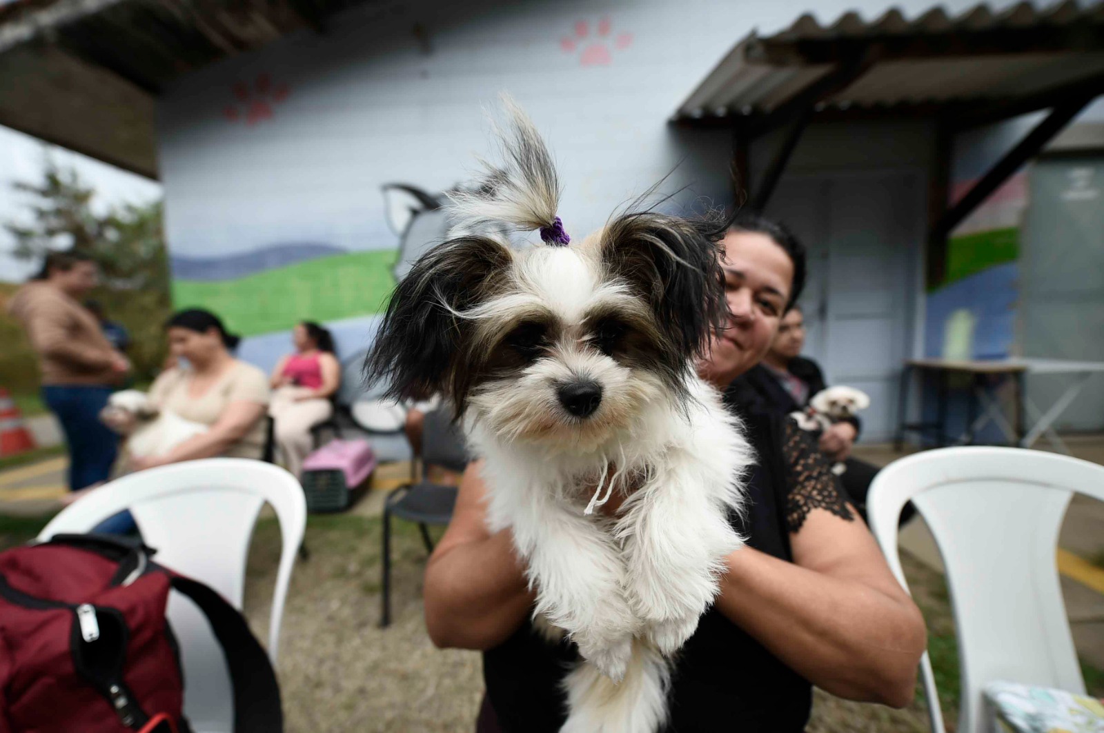 WhatsApp Image 2025-10-10 at 16.52.42