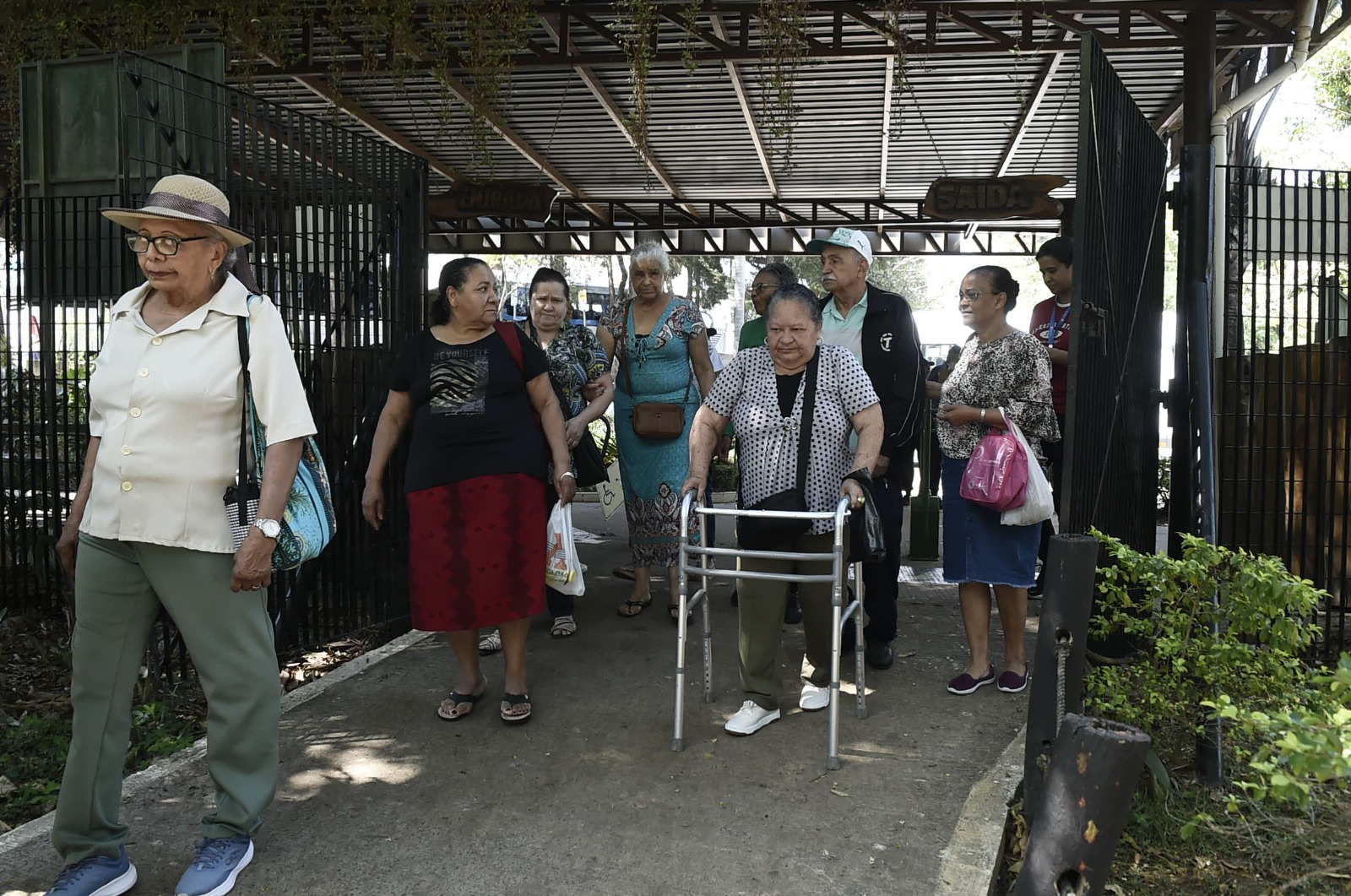 WhatsApp Image 2025-10-17 at 17.48.47