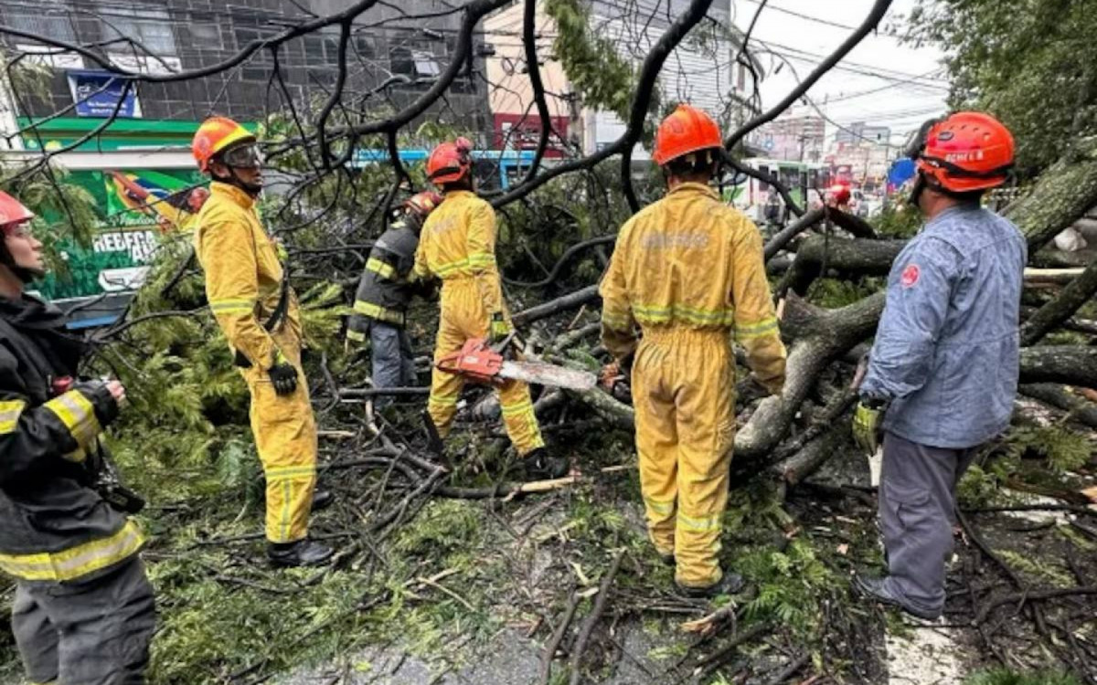 1_photo_2025_12_13_08_50_51-37709484