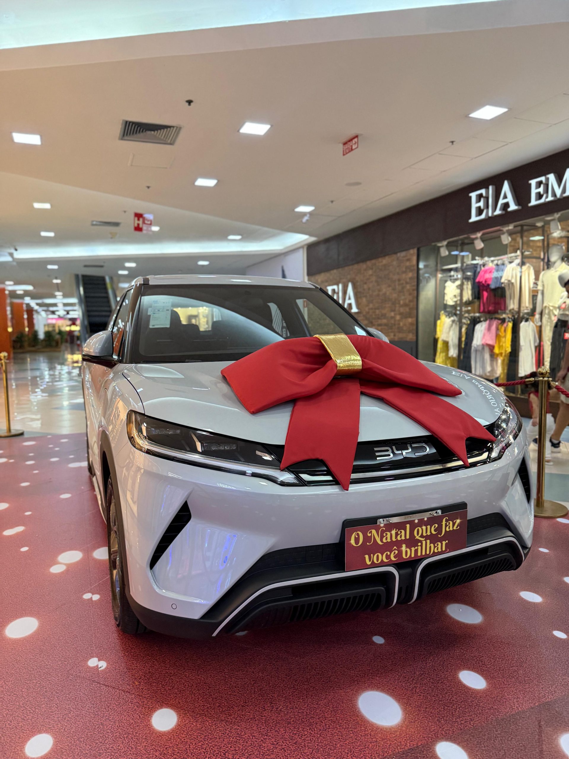 Imagem Divulgação 1