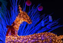 Pelo menos 1/3 das cidades turísticas paulistas promoverão eventos natalinos