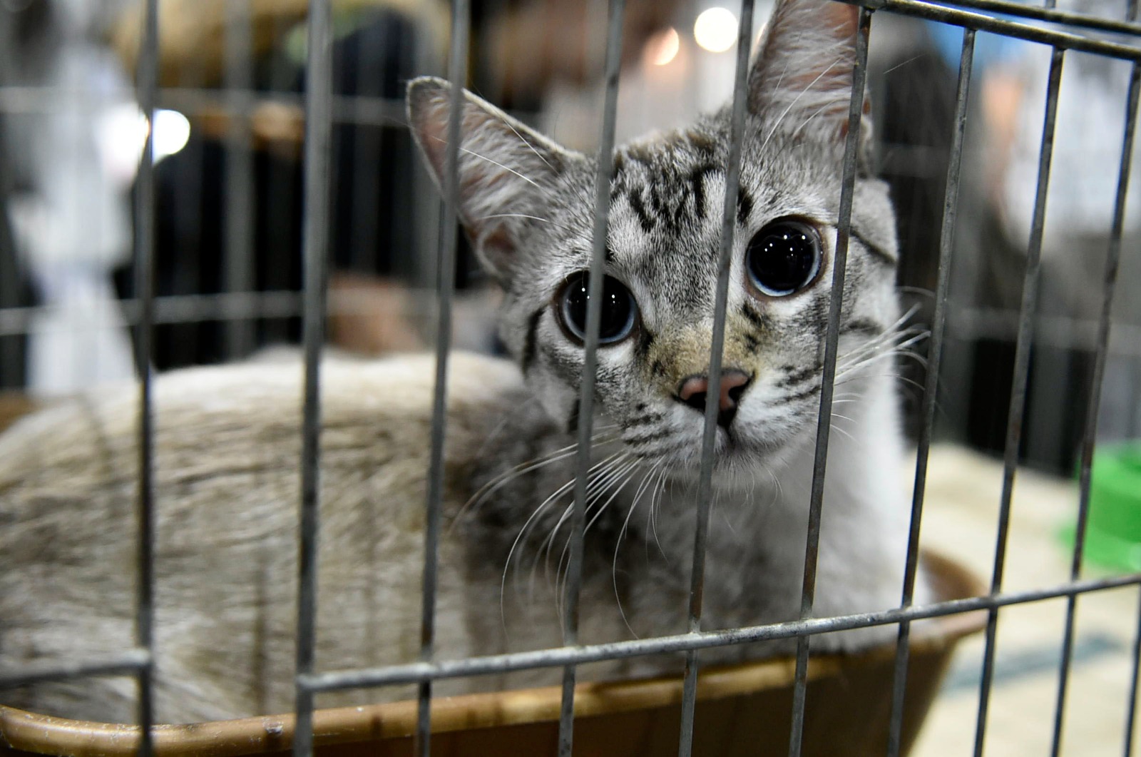 WhatsApp Image 2025-12-10 at 11.22.43 (1)