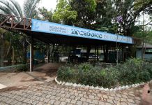 Zoológico realiza atividade em comemoração ao Dia Mundial do Solo