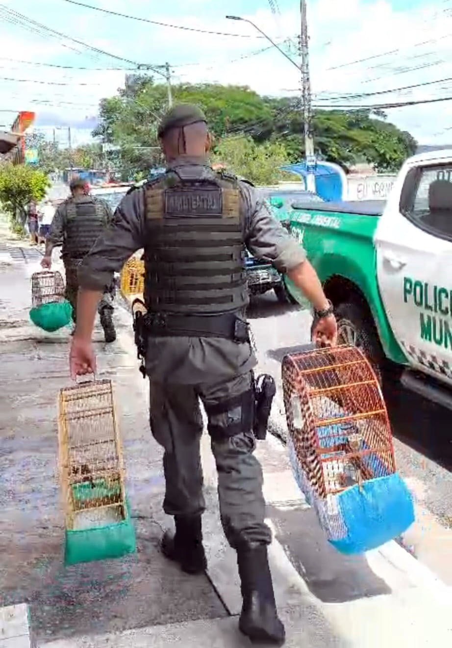 WhatsApp Image 2025-12-16 at 15.42.59