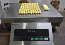 PF prende mulher com cápsulas de cocaína no estômago em Aeroporto de Guarulhos