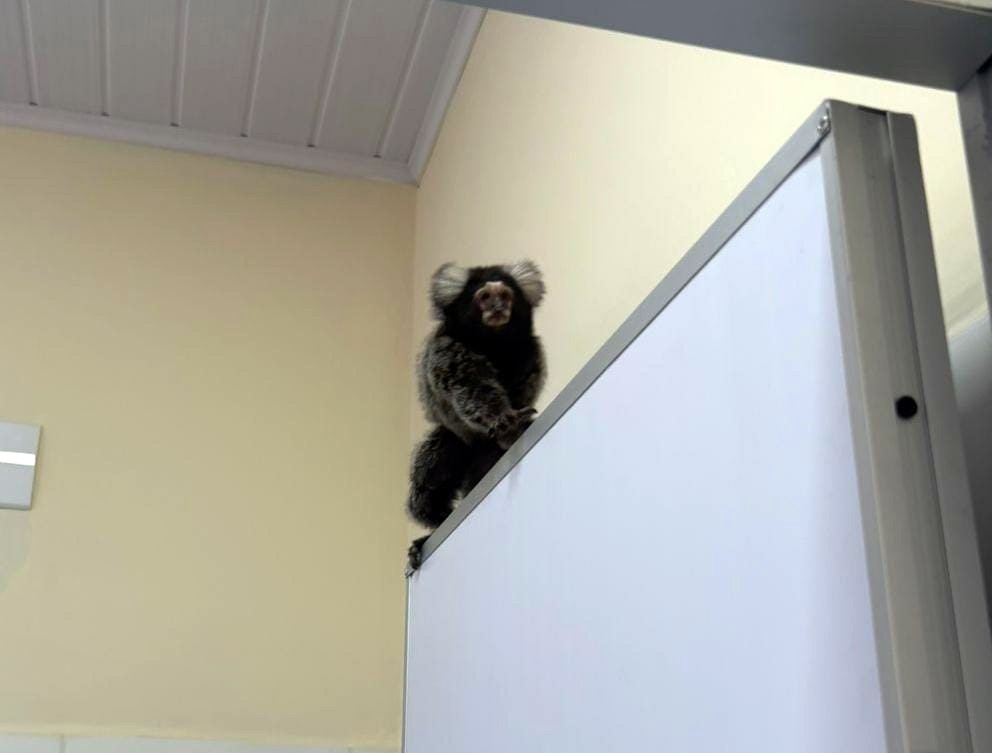 WhatsApp Image 2026-01-14 at 16.24.01