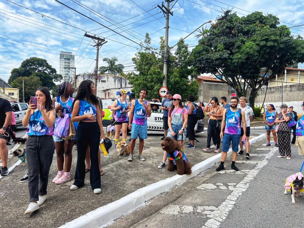 Vem aí o IV Blocão Pet Ohana