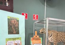 Zoológico de Guarulhos realiza atividades pelo Dia Mundial de Darwin em fevereiro