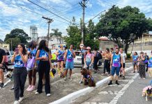 Vem aí o IV Blocão Pet Ohana