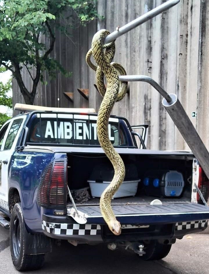 WhatsApp Image 2026-02-27 at 14.53.57