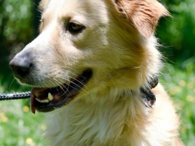 WhatsApp Image 2026-02-27 at 17.22.19