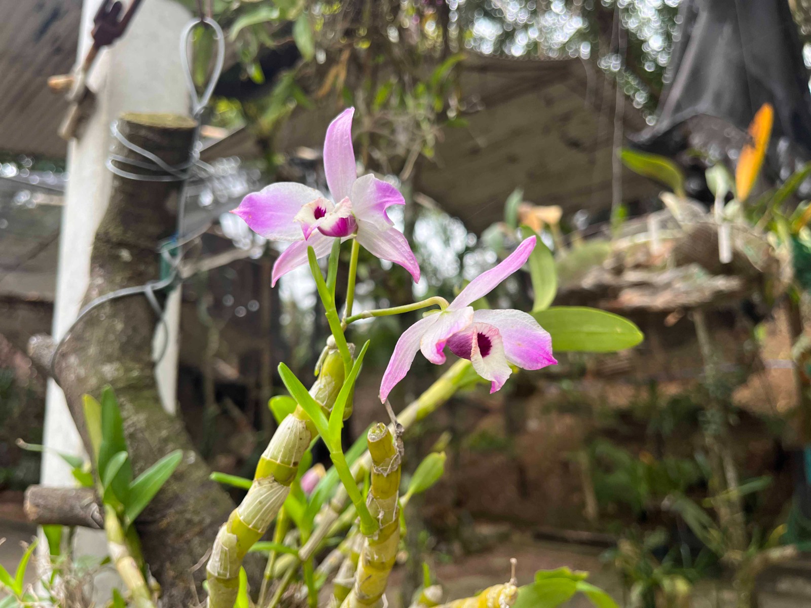 WhatsApp Image 2026-03-04 at 11.20.25