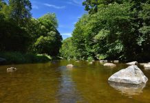 Zoológico realiza atividade Cada Gota Conta em comemoração ao Dia Mundial da Água