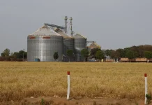 Brasil tem sexto maior crescimento no ranking das economias do G20