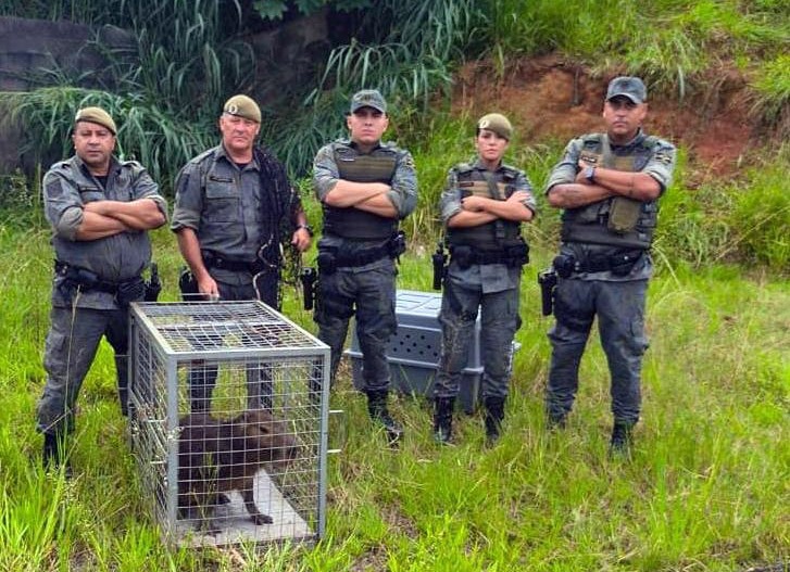 WhatsApp Image 2026-04-08 at 14.35.14