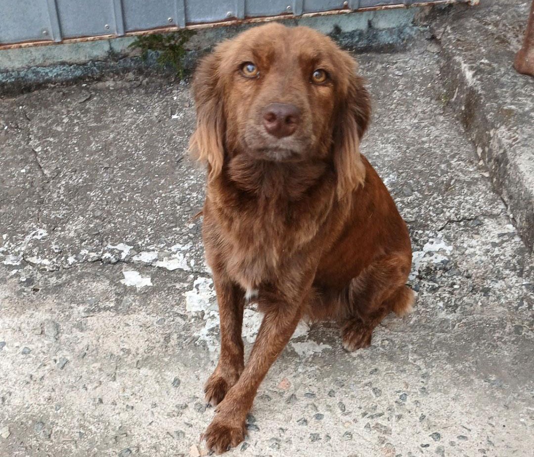 WhatsApp Image 2026-04-10 at 11.52.15