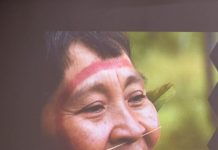 Zoológico de Guarulhos celebra saberes ancestrais dos povos indígenas ao longo de abril