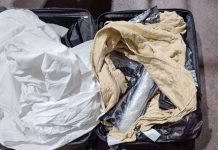 PF realiza seis prisões e apreensão de drogas no Aeroporto de Guarulhos