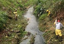 Prefeitura realiza limpeza e corte do mato nas margens do córrego Baquirivu-Mirim