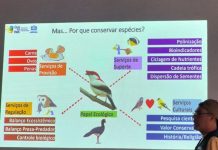 Cantos das aves da Mata Atlântica é destaque de palestra no Zoológico