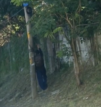 Captura de tela 2026-06-23 153828