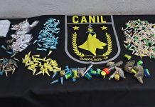 GCM prende quatro traficantes, apreende menor e retira 4,2 kg de drogas das ruas de Guarulhos